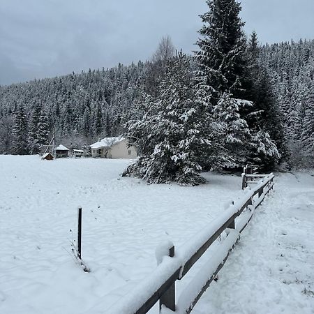 Bambetli Villa Tatariv Bagian luar foto