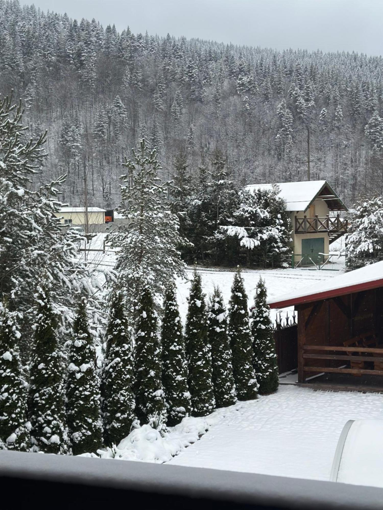 Bambetli Villa Tatariv Bagian luar foto
